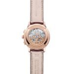 Master Control Chronograph Calendar Q413252J - 图片 3