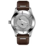 Pilot's Watch Mark XX IW328205 - 图片 2