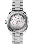 Seamaster Aqua Terra 150M 41 mm 220.10.41.21.03.006 - 图片 2