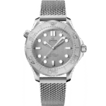 Seamaster Diver 300M Co‑Axial Master Chronometer 42mm 210.30.42.20.06.002