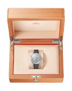 Seamaster Diver 300M Co‑Axial Master Chronometer 42mm 210.32.42.20.06.002 - 图片 3